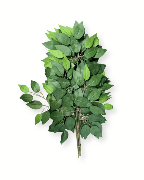 Hoja de fico unidad