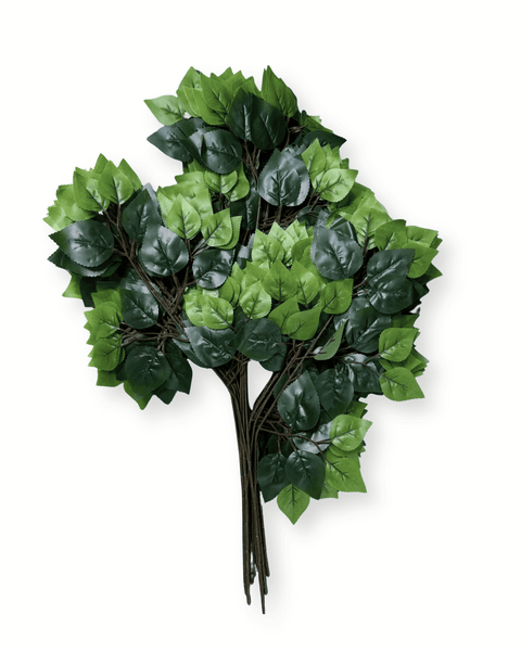 Follaje natural verde