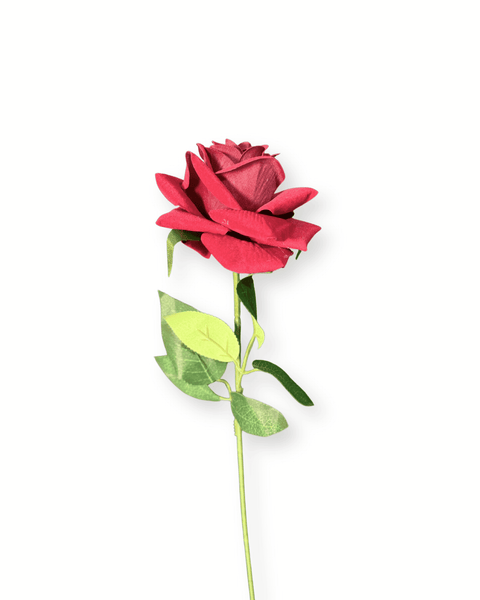 Rosa 61 cm