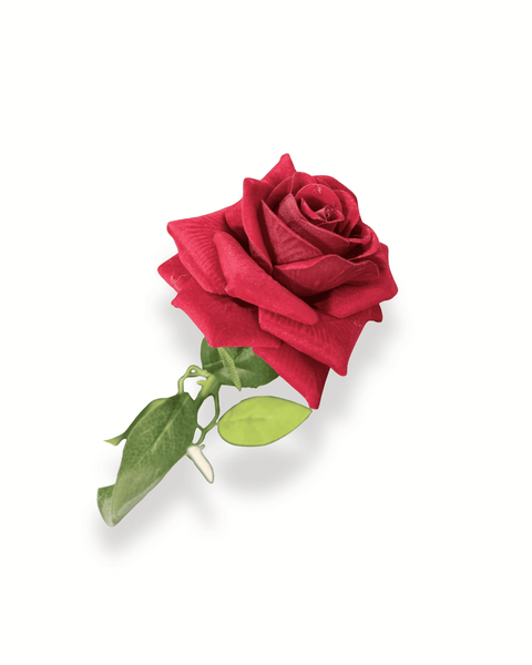 Rosa 61 cm