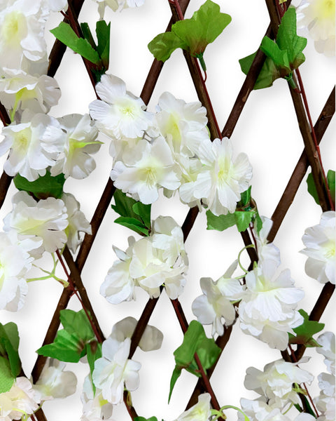 Malla cerezo blanco
