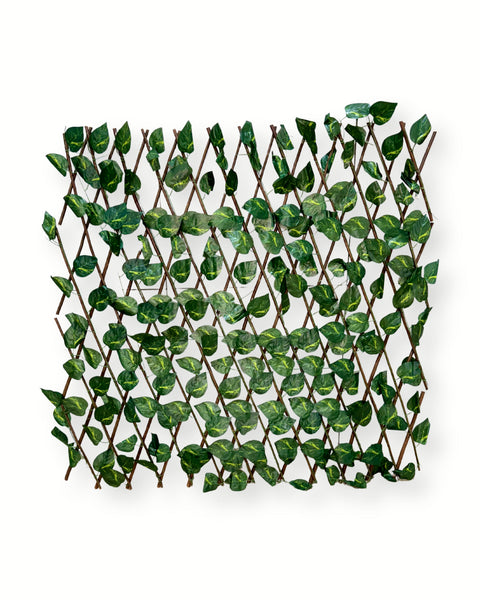 Malla enredadera verde