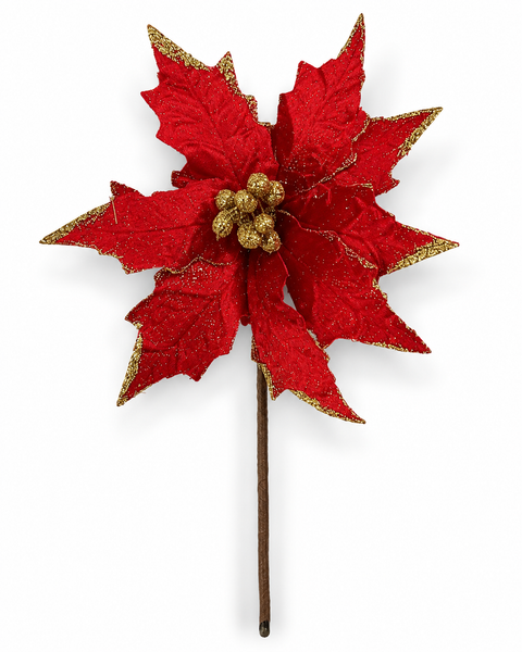 Flor navideña 2026-10 - foto 1
