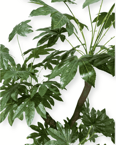 Planta artificial aralia japonesa