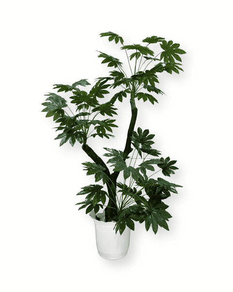 Planta artificial aralia japonesa