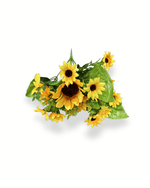 Girasol amarillo natural