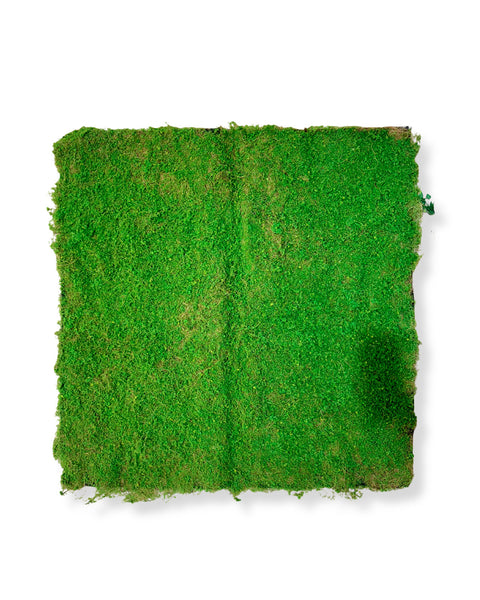 Musgo natural piso 1X1
