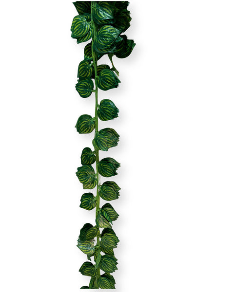 Enredaderas