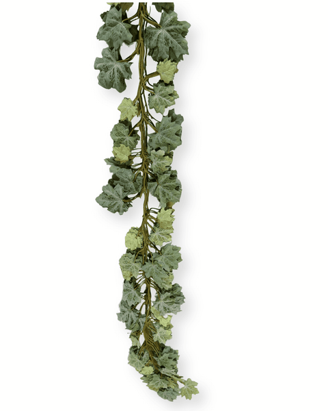 Enredadera hiedra premium verde unidad