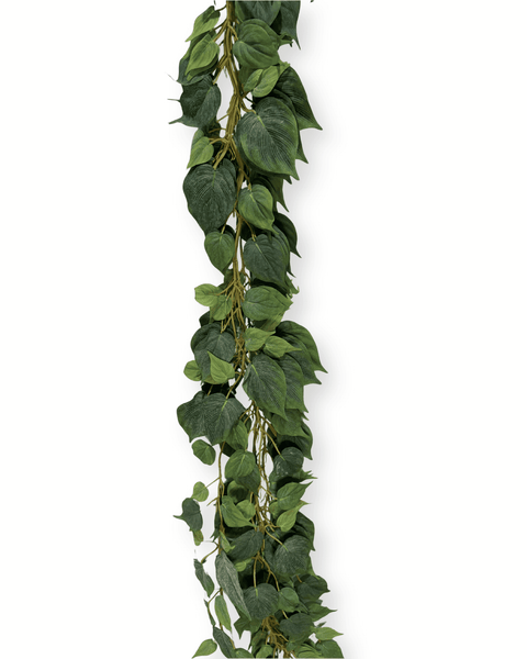 Enredadera premium verde unidad