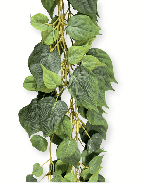 Enredadera premium verde unidad