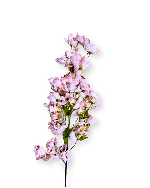 Cerezo japonés