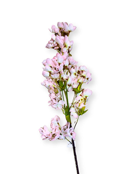 Cerezo japonés