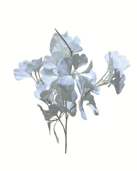 Flor novia blanca