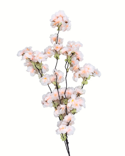 Flor de durazno blanco