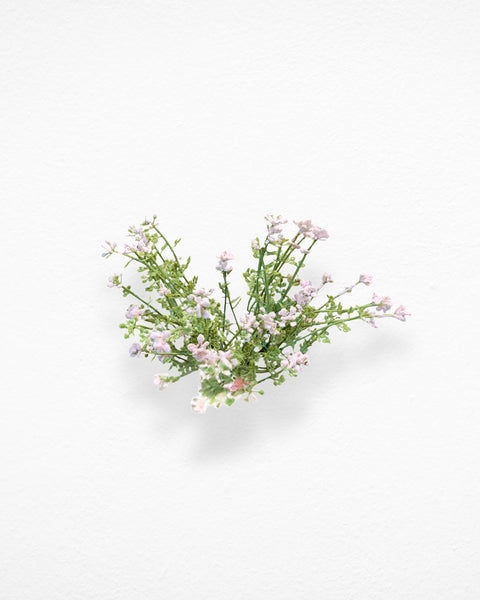 Flor de nube