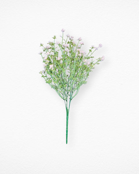 Flor de nube