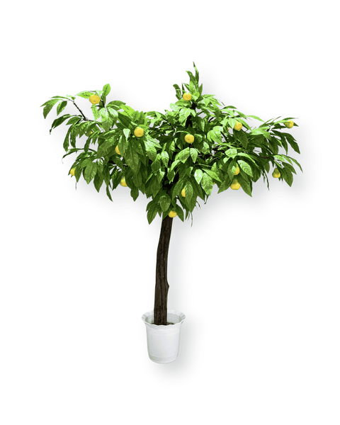 Árbol de peras grande