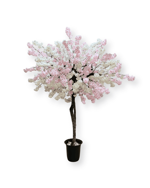Árbol cerezo japonés grande