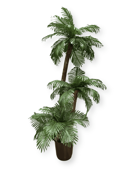 Árbol palmera triple