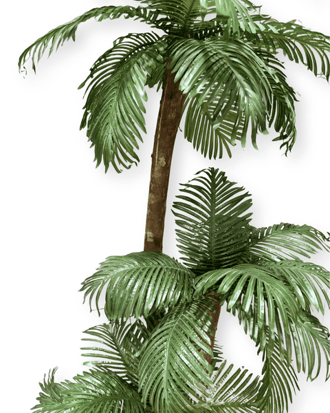 Árbol palmera triple
