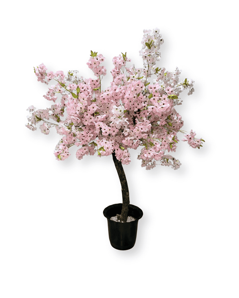 Árbol cerezo pequeño