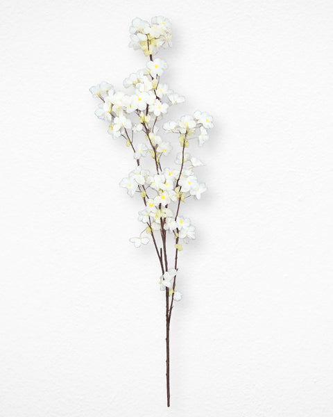 Flor de durazno blanco