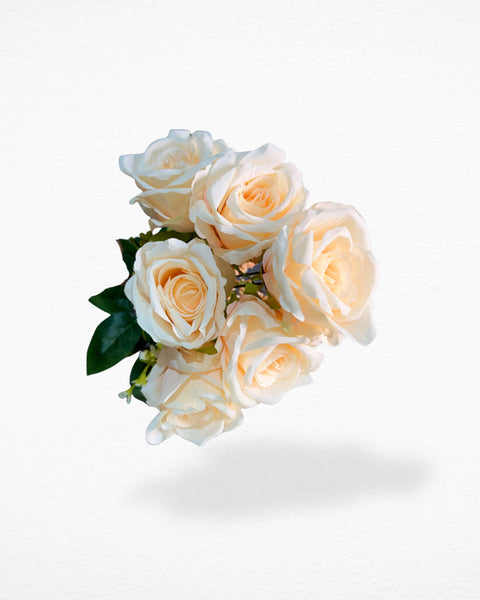 Ramillete de rosas x6