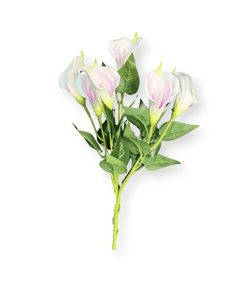 Ramo cartucho x 6 Flores