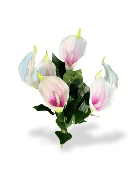Ramo cartucho x 6 Flores