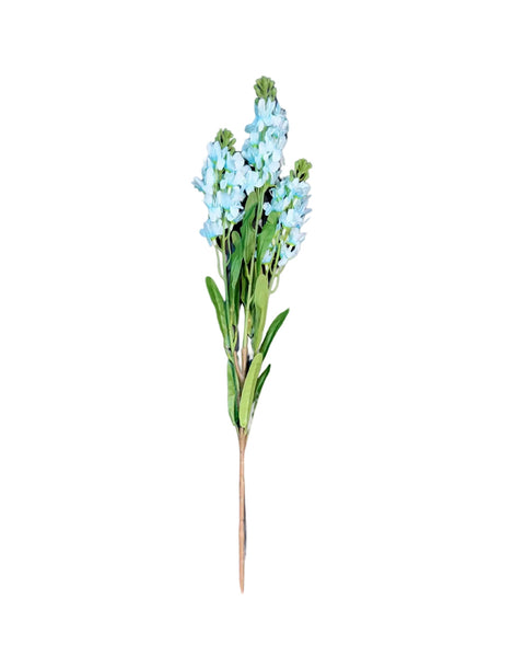 Flor delfín azul