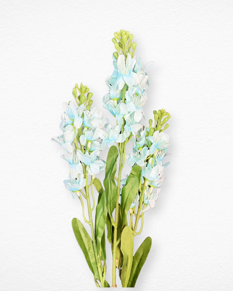 Flor delfín azul