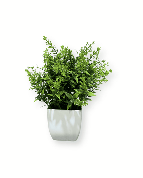 Planta decorativa mini 3