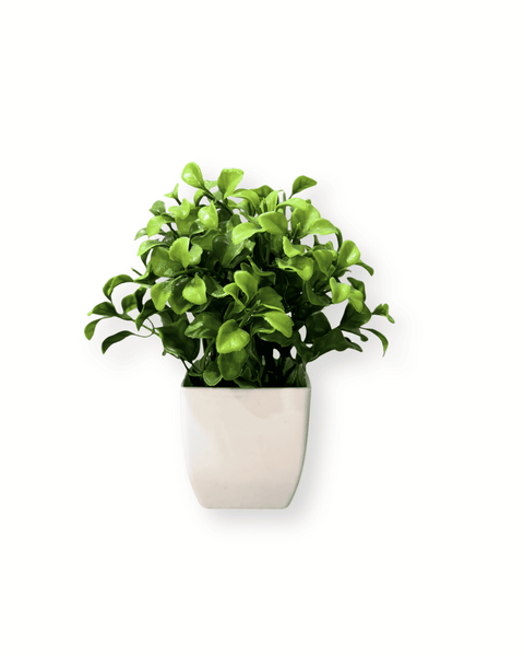 Planta decorativa mini 4