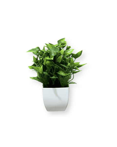Planta decorativa mini 2