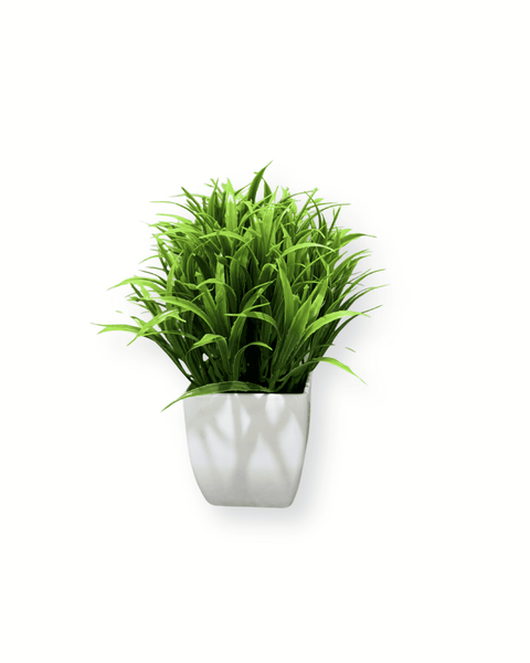 Planta decorativa mini 1