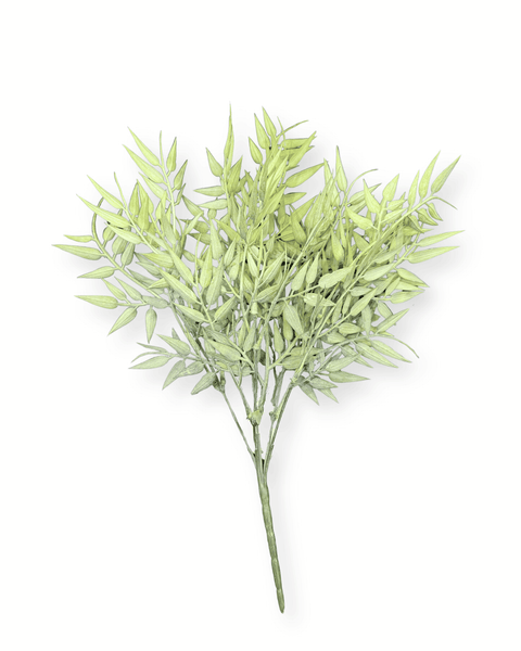 Follaje ramillete verde