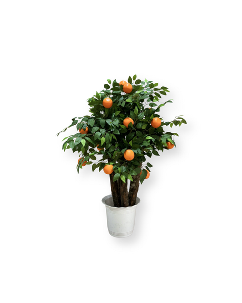 Árbol naranjo mediano