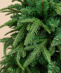 Árbol Alpino Verde - vista completa