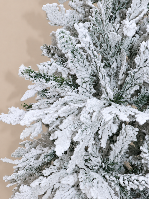 Árbol Cumbres Nevado