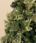 Árbol Santini - foto 1