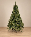 Árbol Santini - foto adicional