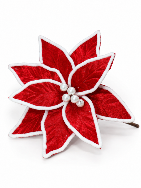 Flor terciopelo roja - foto adicional