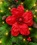 Poinsettia Tela - foto 1