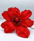 Poinsettia Tela - foto adicional