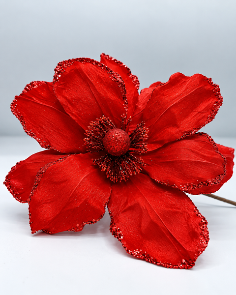 Poinsettia Tela - foto adicional