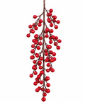 Frutos Rojos 60 cm - foto 1