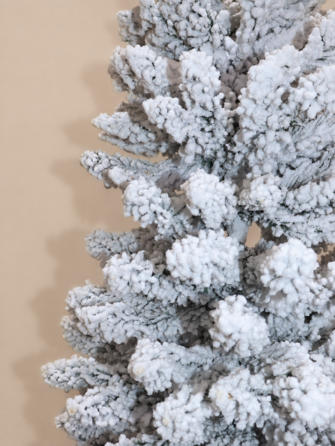 Pino Lapiz Nevado - detalle
