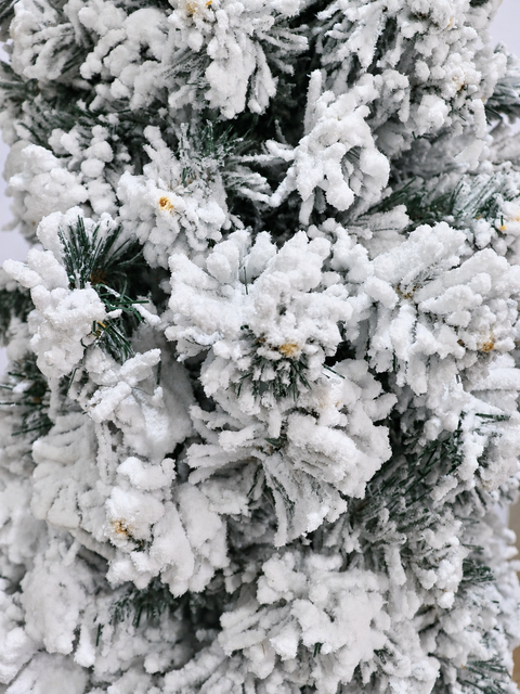 Pino Vela Nevado - detalle