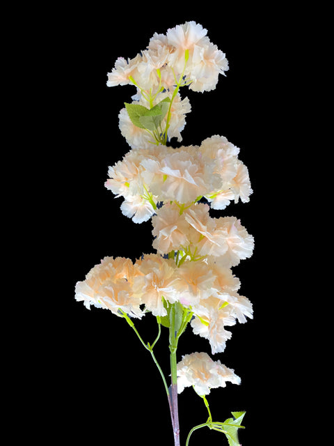 Rama individual Melon